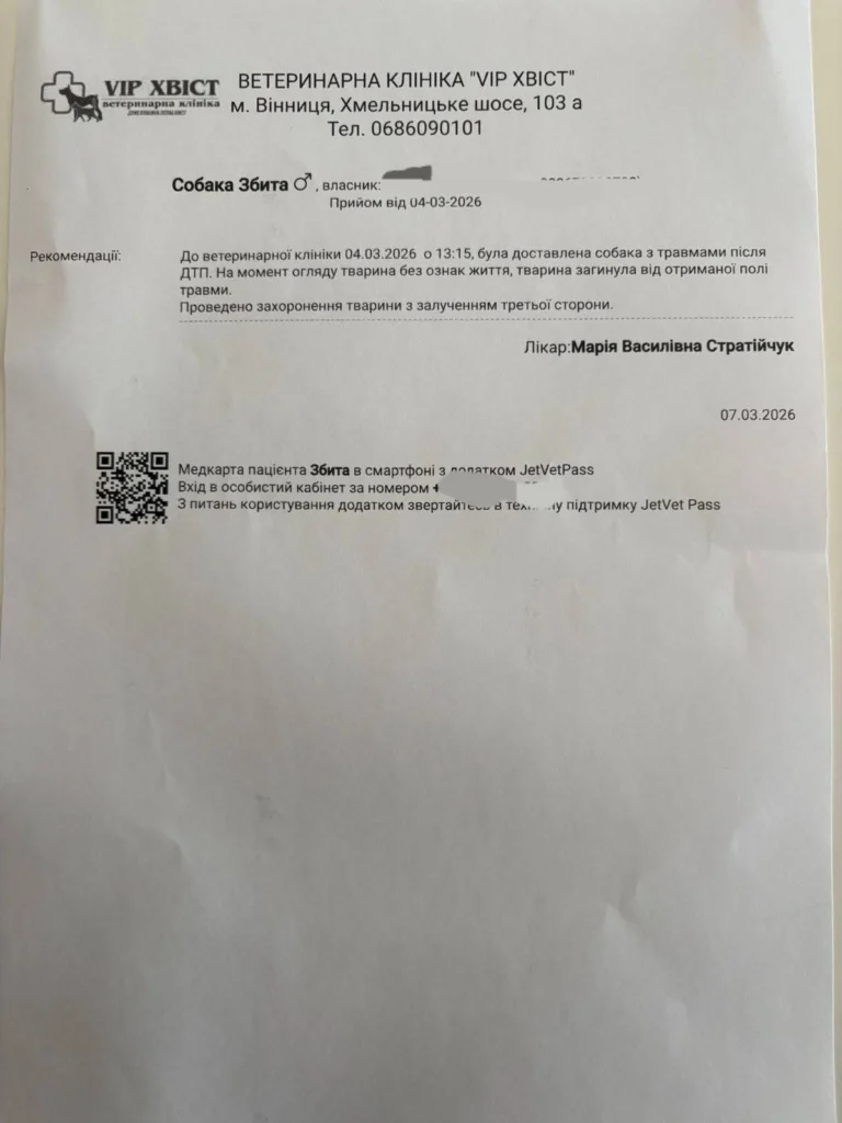 Переїхав собаку та втік : Вінничани звинувачують Затайдуха та ДКВ
